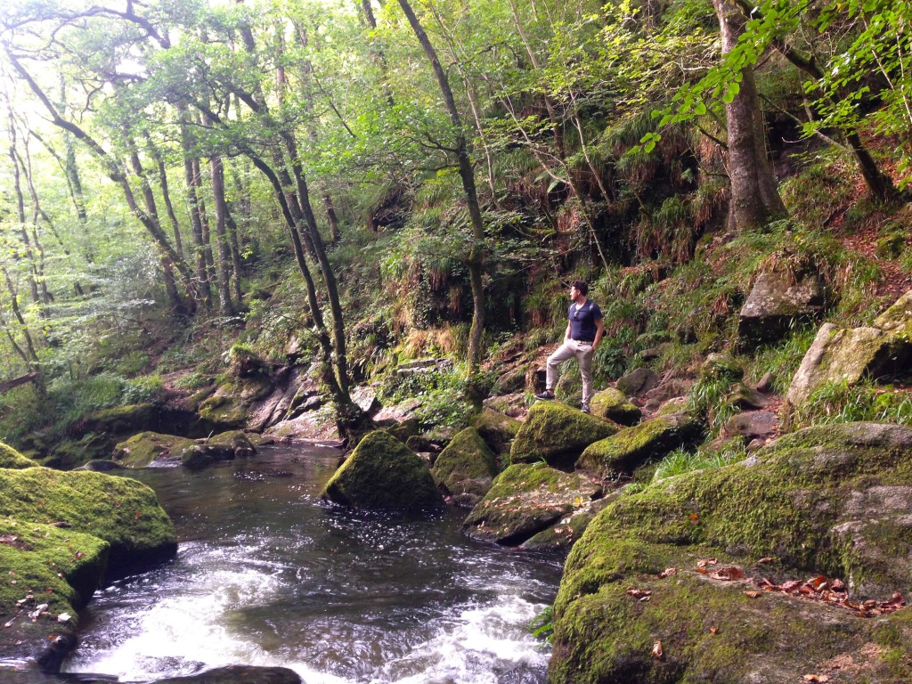 Golitha Falls