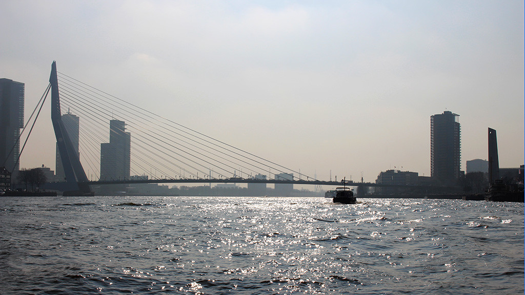 Erasmus Bridge Rotterdam